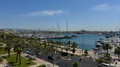 Apartment on Avinguda de Gabriel Roca photo 2