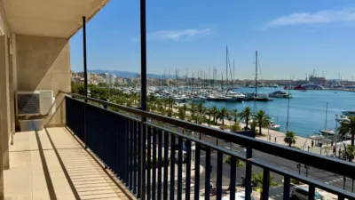 Apartment on Avinguda de Gabriel Roca photo 18