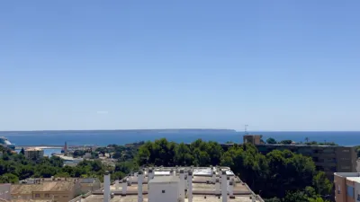 Studio in Carrer d'Antoni Mus photo 3