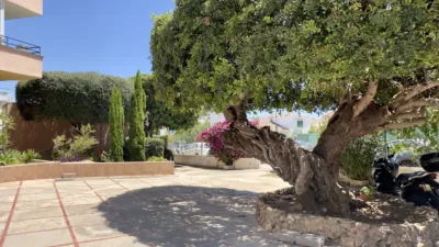 Estudio en Carrer d'Antoni Mus photo 20