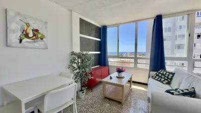 Studio in Carrer d'Antoni Mus photo 5