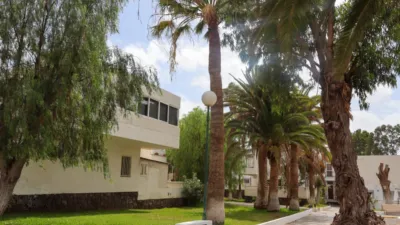 Piso en alquiler en Calle Diana, Costa del Silencio-Las Galletas (Arona) de 70 €<span>/día</span>