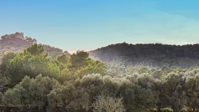 Finca rústica en venta en Polígono 34, Parcela 1254, Manacor de 485.000 €