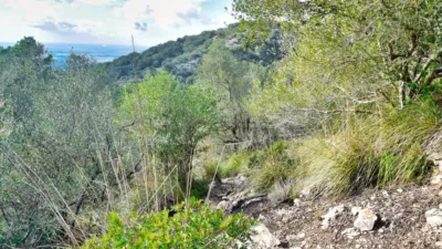 Finca rústica en venta en Polígono 34, Parcela 1254, Manacor de 485.000 €