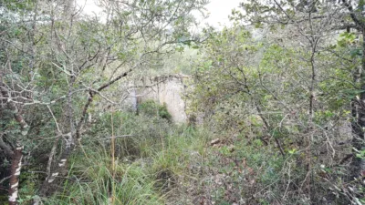 Finca rústica en venta en Polígono 34, Parcela 1254, Manacor de 485.000 €