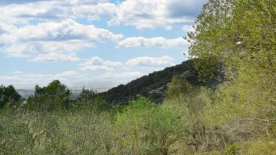 Finca rústica en venta en Polígono 34, Parcela 1254, Manacor de 485.000 €