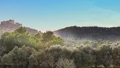 Finca rústica en venta en Polígono 34, Parcela 1254, Manacor de 485.000 €