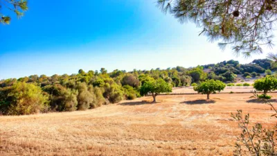 Casa en venta en Polígono 4, Parcela 316, Manacor de 480.000 €