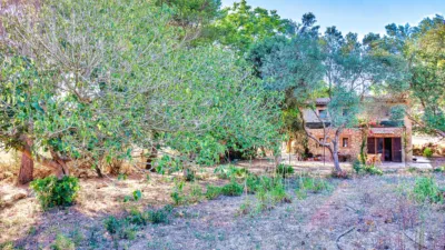 Casa en venta en Polígono 4, Parcela 316, Manacor de 480.000 €