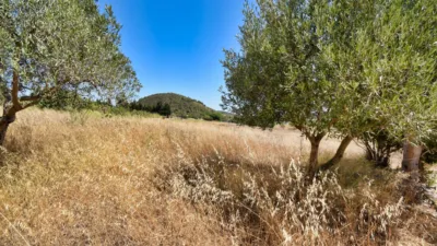 Casa rústica en venta en Calle Ma 4040, Kilómetro 10, Son Servera de 1.499.000 €