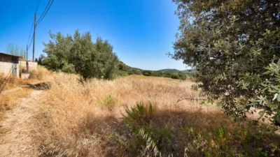 Casa rústica en venta en Calle Ma 4040, Kilómetro 10, Son Servera de 1.499.000 €