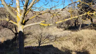 Finca rústica en venta en Barrio de Bodegas Jubera, Lagunilla de Jubera (Lagunilla del Jubera) de 45.000 €