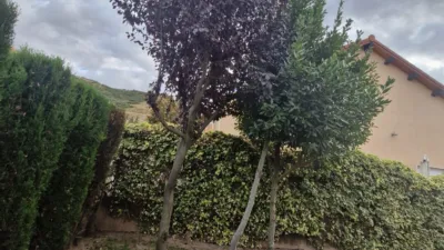 Chalet en venta en Carretera de Logroño, 132, Recajo (Agoncillo) de 360.000 €