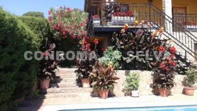 House in Sils photo 45