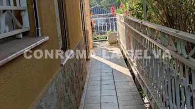 House in Sils photo 27