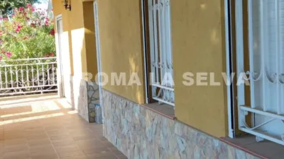 House in Sils photo 24