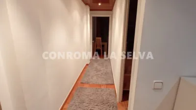 Apartment in Calella photo 6