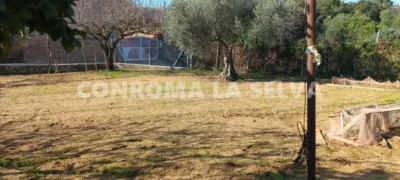 Rustic property in Malgrat de Mar photo 2