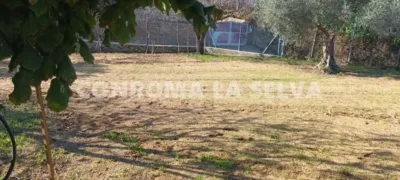 Rustic property in Malgrat de Mar photo 4