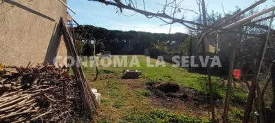 Rustic property in Malgrat de Mar photo 7