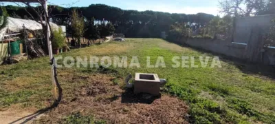 Rustic property in Malgrat de Mar photo 5