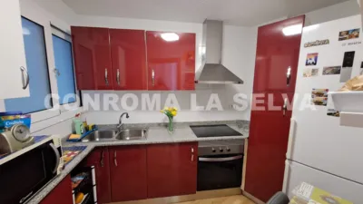 Apartment in Els Pavos photo 3