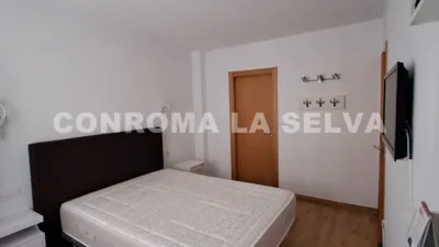 Apartment in Els Pavos photo 7