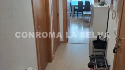 Apartment in Els Pavos photo 6