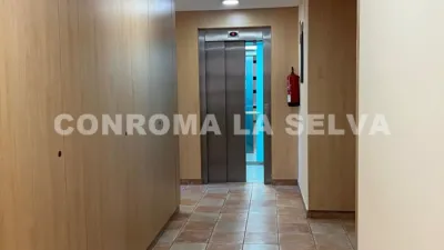 Apartment in Fenals-Santa Clotilde photo 10