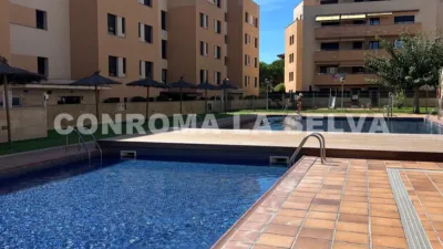 Apartment in Fenals-Santa Clotilde photo 15