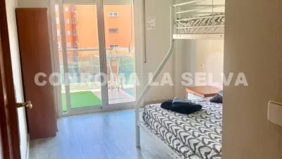 Apartment in Santa Susanna photo 8