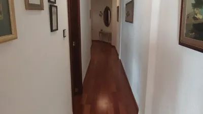 Apartment on Carrer del Doctor Juan José Dómine photo 12
