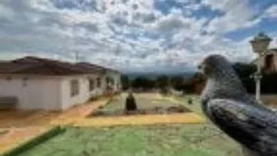 Detached house on Calle B Ibáñez Lloma photo 50