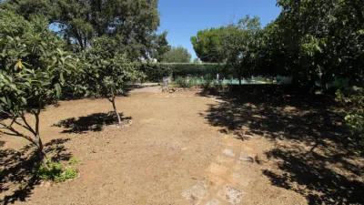 Detached family home on Calle de las Acacias photo 41