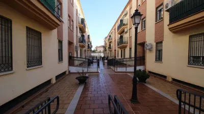 Apartment on Islas Street photo 23
