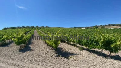 Casa - Vista 4