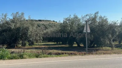 Casa - Més