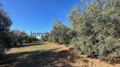 Rustic farm on Puente Genil Road photo 5