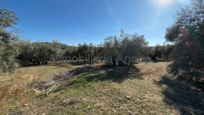 Casa - Vista 4