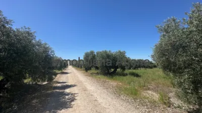 Casa – Lucena - Vista 4