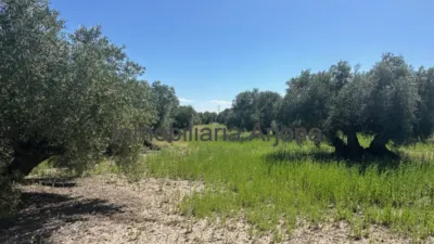 Casa – Lucena - Més