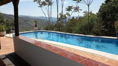 Rustic Finca on Calle Los Juncares photo 2