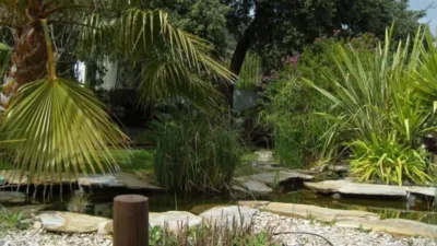 Rustic Finca on Calle Los Juncares photo 26
