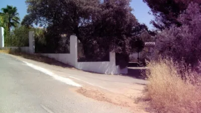 Rustic Finca on Calle Los Juncares photo 33