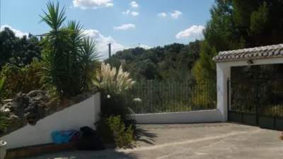 Rustic Finca on Calle Los Juncares photo 72