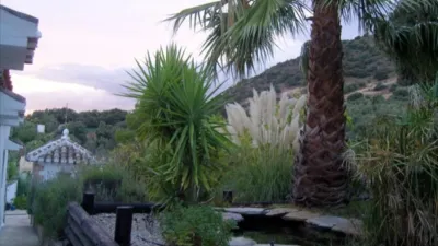 Rustic Finca on Calle Los Juncares photo 44