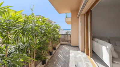 Apartment on Carretera d'Artà photo 18