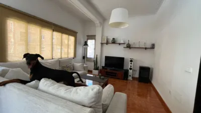 Apartment in Carrer dels Foners photo 2