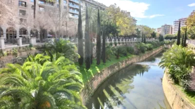 Studio in Passeig de Mallorca photo 15