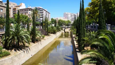 Studio in Passeig de Mallorca photo 2